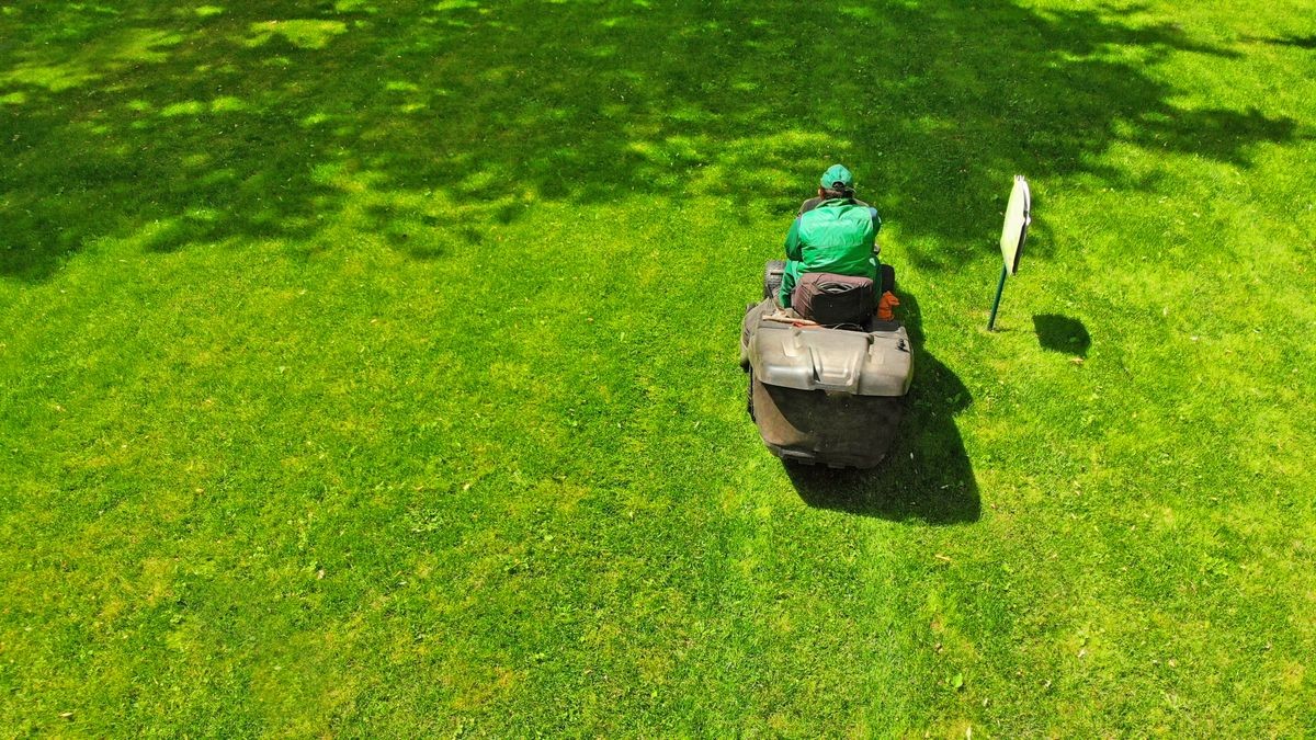 Lawnmower and gardener. Grass cutting in the park.
